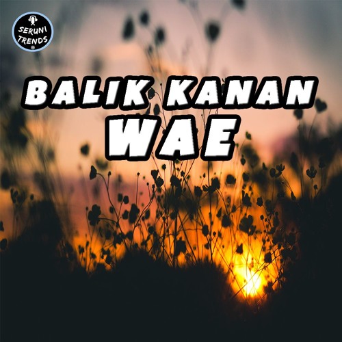 DJ BALIK KANAN WAE SLOW BASS (SERUNI TRENDS ft AJY ONE ZERO)