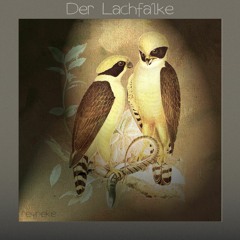 Der Lachfalke (Original Mix)