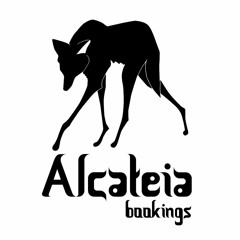 01.Aliengorithmics.Alcateia.Bookings.Forest.Mini.Mix.2019.12.20