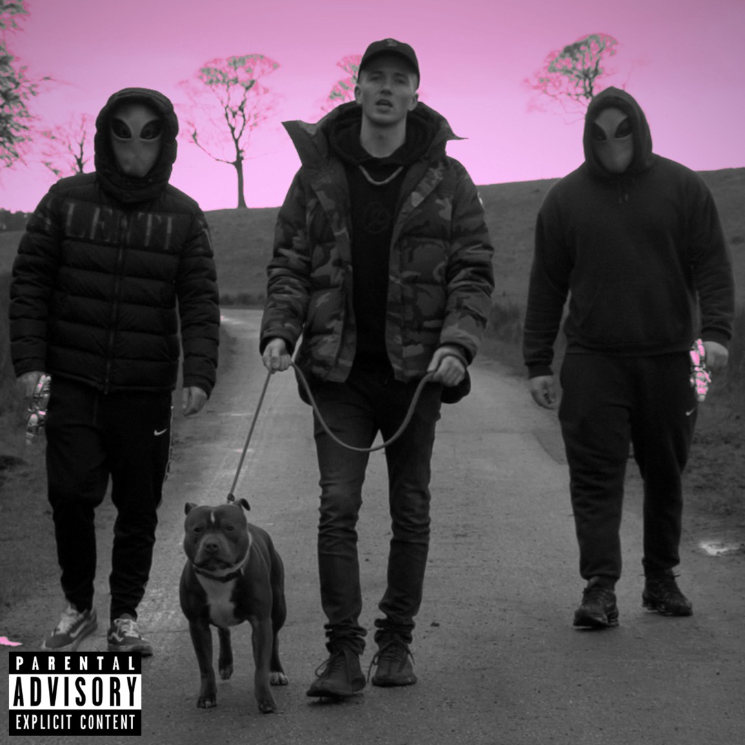 cactus plan 3