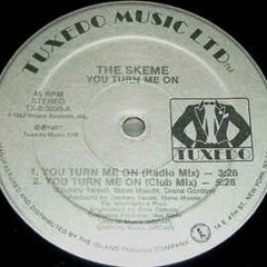 The Skeme - You Turn Me On (Radio Mix).mp3
