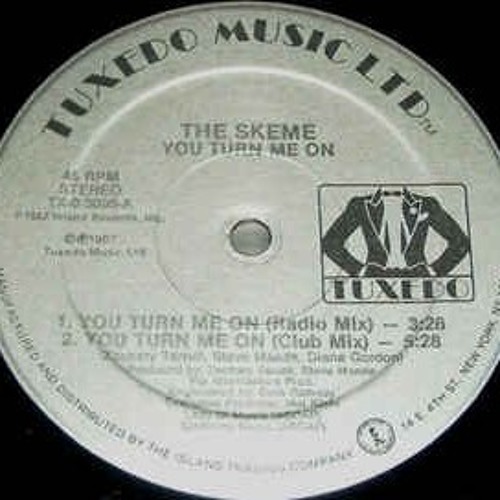 The Skeme - You Turn Me On (Radio Mix).mp3