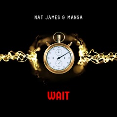 Nat James & Mansa - Wait