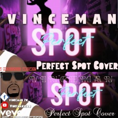 Busy Signal _ Perfect Spot | Cover by | Vinceman