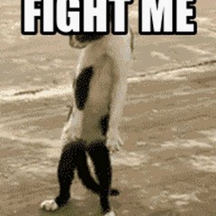 Lost Cause 2 - 2-2020