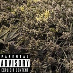 MallyWally ~ Riddle (Prod. Sqweezey)