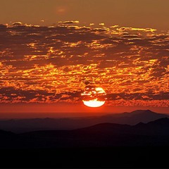 Die Letzten Tage Sind Gezählt
