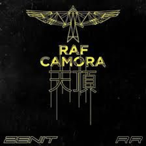 Raf Camora ft. Kontra K & Nipsey Hustle - Gewarnt (Smon2k Remix)