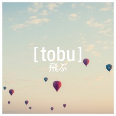 Aurora B.Polaris - Tobu