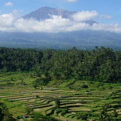 Januar 2020 (Mixtape)