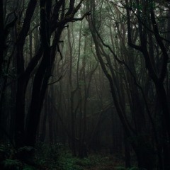 Through You, Through The Forests