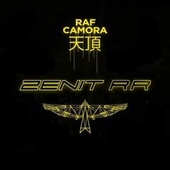 Raf Camora - OK OK ( P - Rock Extended)