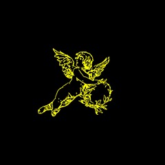 B6 - VIL - Evolution