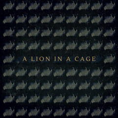 A Lion In A Cage
