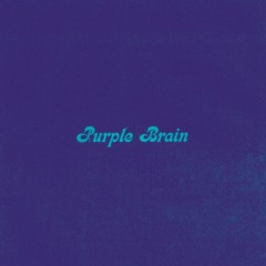 Purple Brain (RVNG MX7 2009)