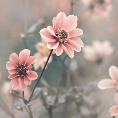 ينادي فؤادي .. محمد العمري