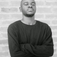 she will by lil wayne and drake (sample) mix the drums