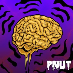 BRIKZ X R2D2 X COSMONAUT - BRAINS (PNUT VIP) (2018) [FREE]