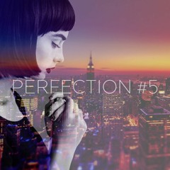 PERFECTION #5