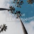 Knockout Remix