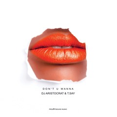 DJ Aristocrat & T.Say - Don't U Wanna (Moe Turk Remix) / OUT NOW