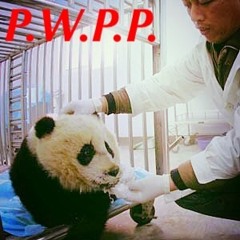 No Parachute- Pow Wow Panda Project