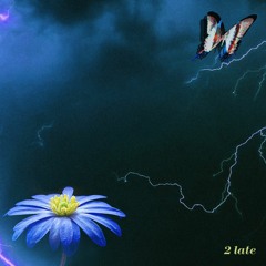 2 late (Goodbyes Kover)