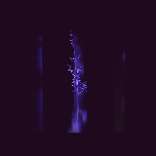 Best of Jeremy James Whitaker