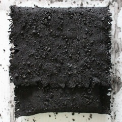 B1 arthropod phenotype (xcrpt)