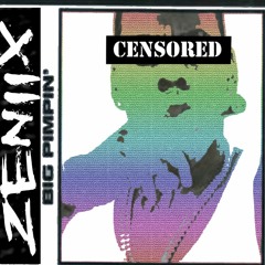 JAY-Z - Big Pimpin' Remix