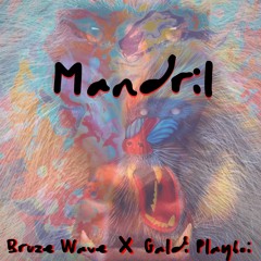 Mandril Ft. Galdi Playboi