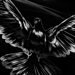 Caprice - Black Dove (Tribute)