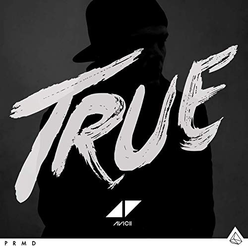 Avicii - Shame On Me (Instrumental)