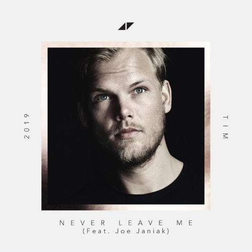 Avicii - Never Leave Me (feat. Joe Janiak) (Instrumental)