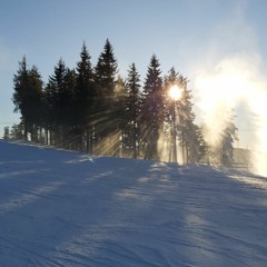 Beat 013 Winter Tracks