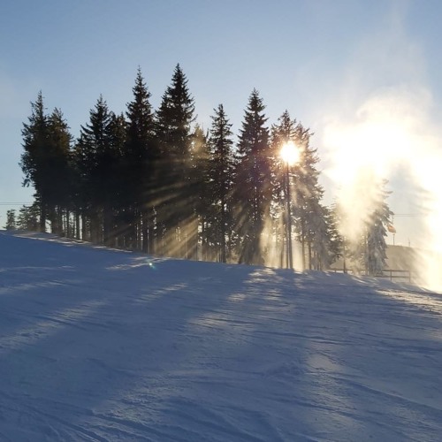 Beat 013 Winter Tracks