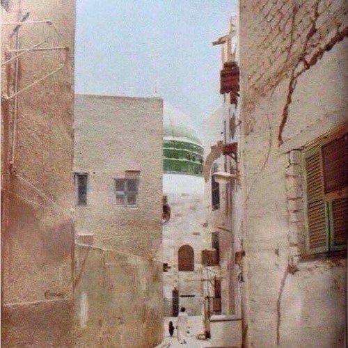 ٣. أبو بكرٍ الصديق - ويَشْكُو فَقْدَهُ البَلَدُ الحَرامُ | رثاء رسول الله