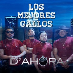 Los Mejores Gallos