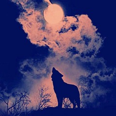 Full Wolf Moon