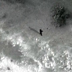 A Lucid Commentary of the Humanitarian Failures of the U.S. Government