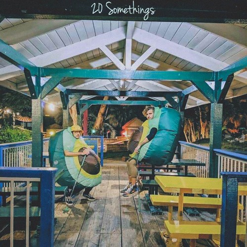 20 Somethings