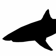 SELA Deep Sea Mix 001