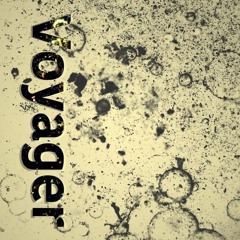 Voyager