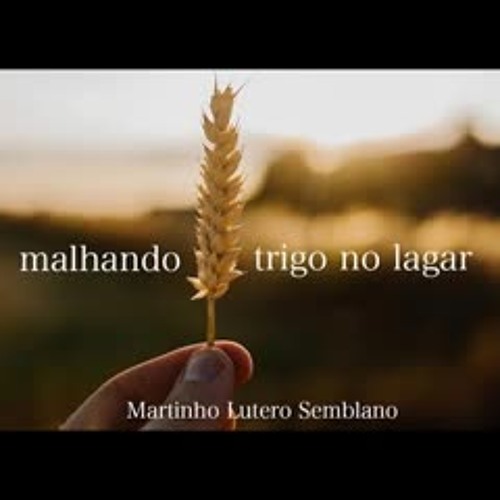 Stream Malhando trigo no lagar by