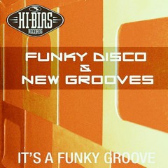 Funky Disco & New Groove - It's A Funky Groove (PH Re-Edit Groovy Remix)