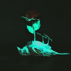 Limbo (live)