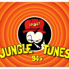 A Bunch Of Jungle Music 94 To 95