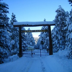 Still Loving You / stephenallendavis