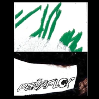 Soundcloud podcast image for Void Field w/ Peñaflor 