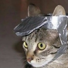 It took me hours to get to sleep last night